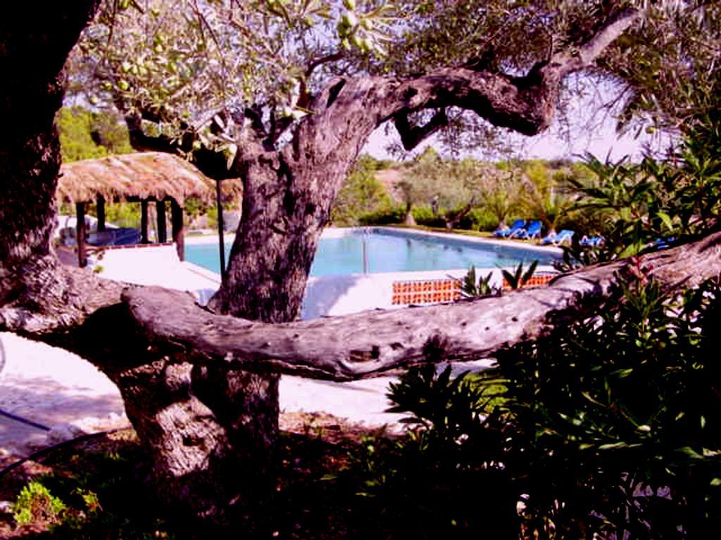The Sea Garden Hotell L'Ampolla Exteriör bild